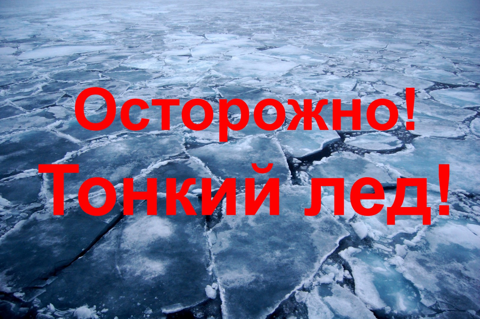 https://mo-pontonniy.ru/wp-content/uploads/2023/11/ost-ton-led.jpg